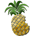 Dev Team Pineapple Dev Team Pineapple